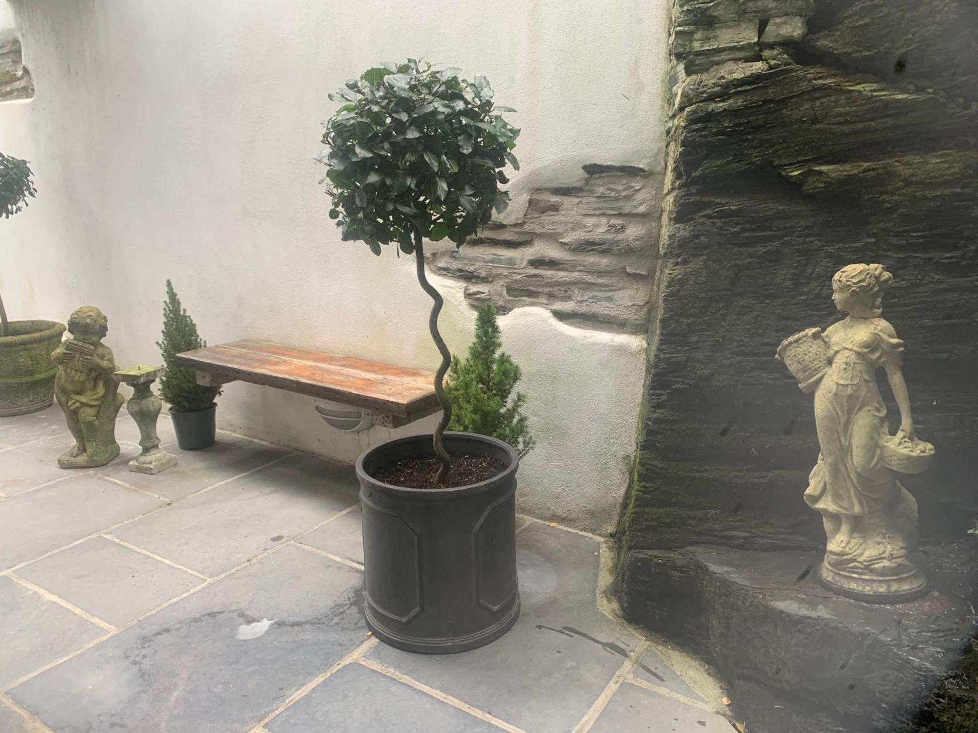 Georgian Holiday Apartment In Boscastle Buitenkant foto
